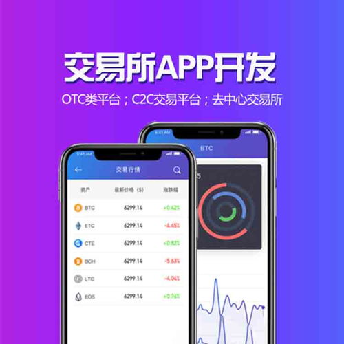 東莞軟件開發公司